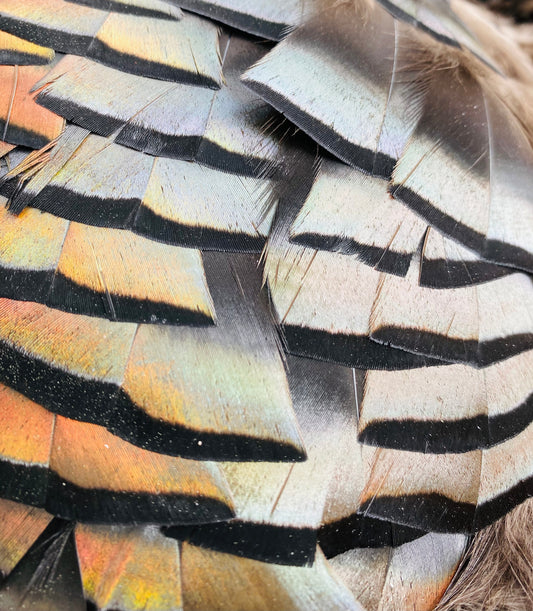 Custom Turkey Feather Tumbler